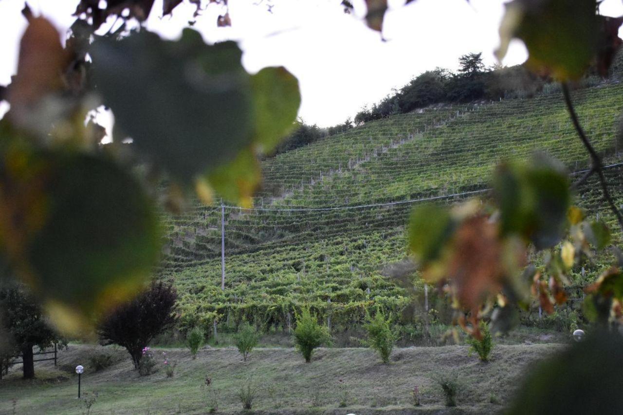 סנטו סטפאנו בלבו Agriturismo Cascina L'Arche מראה חיצוני תמונה